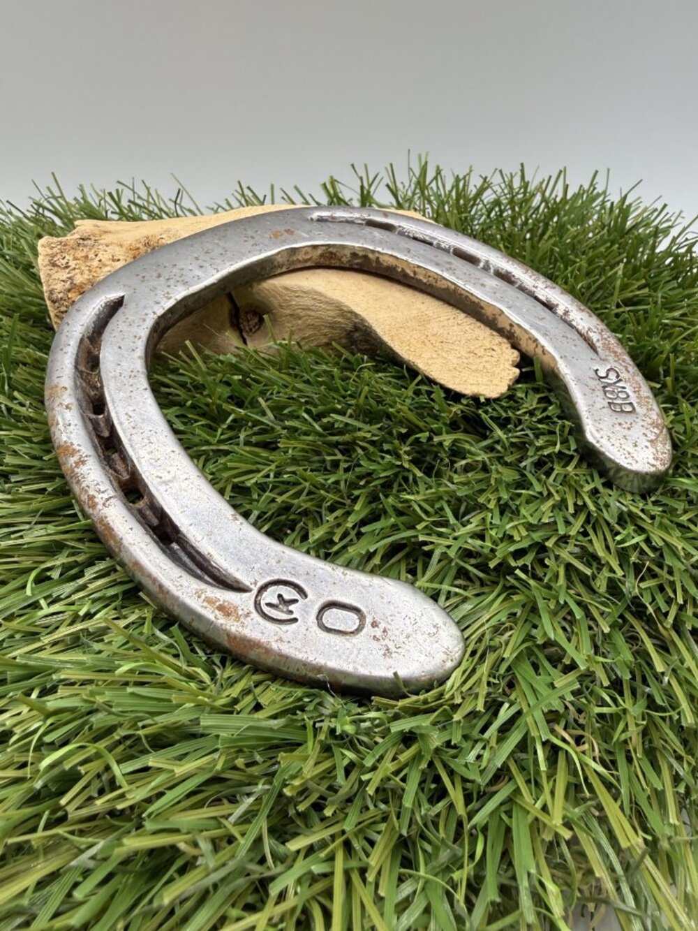 Lucky Steel Horseshoe by Kerckhaert